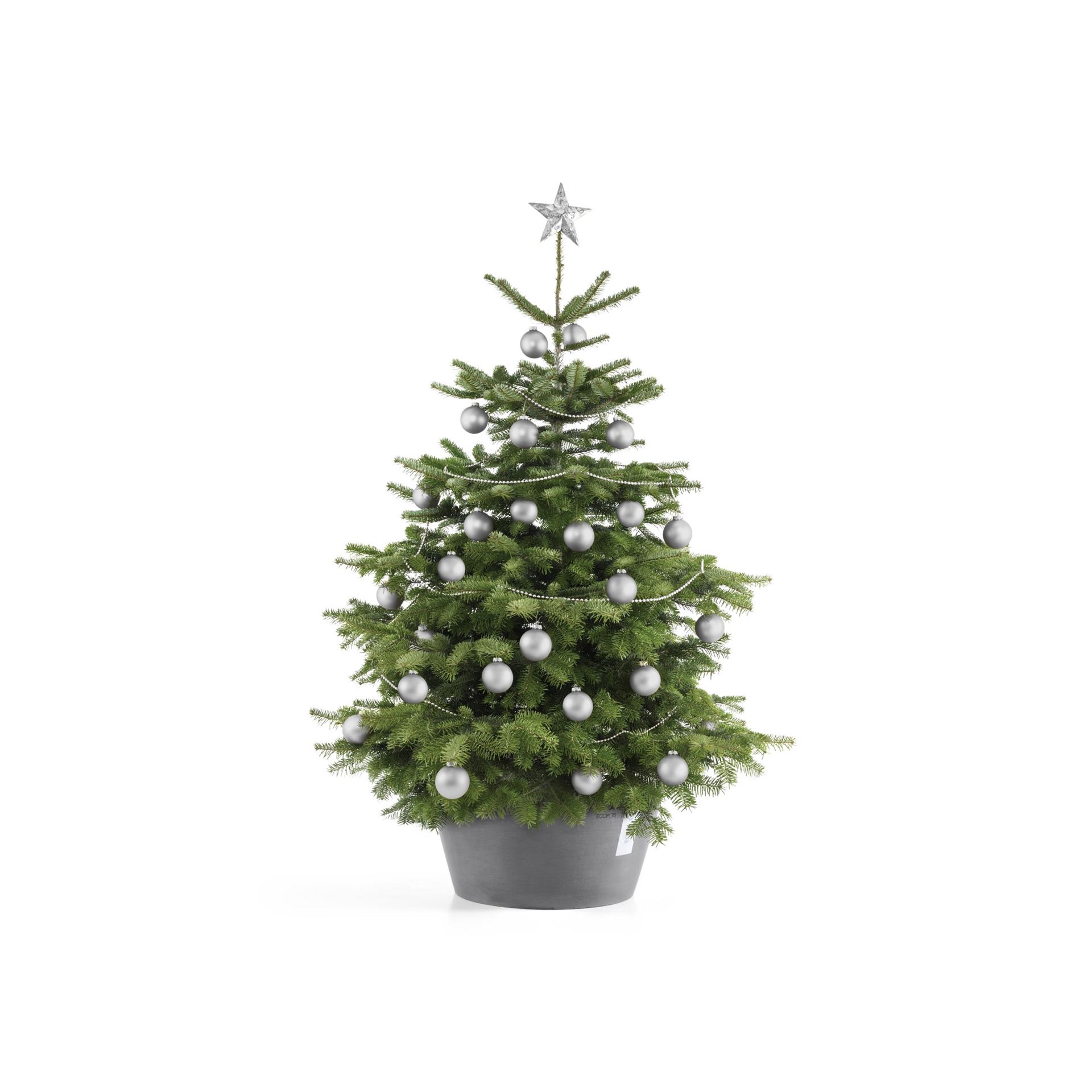 Ecopots-kerstboomvoet-XL-grey-50cm