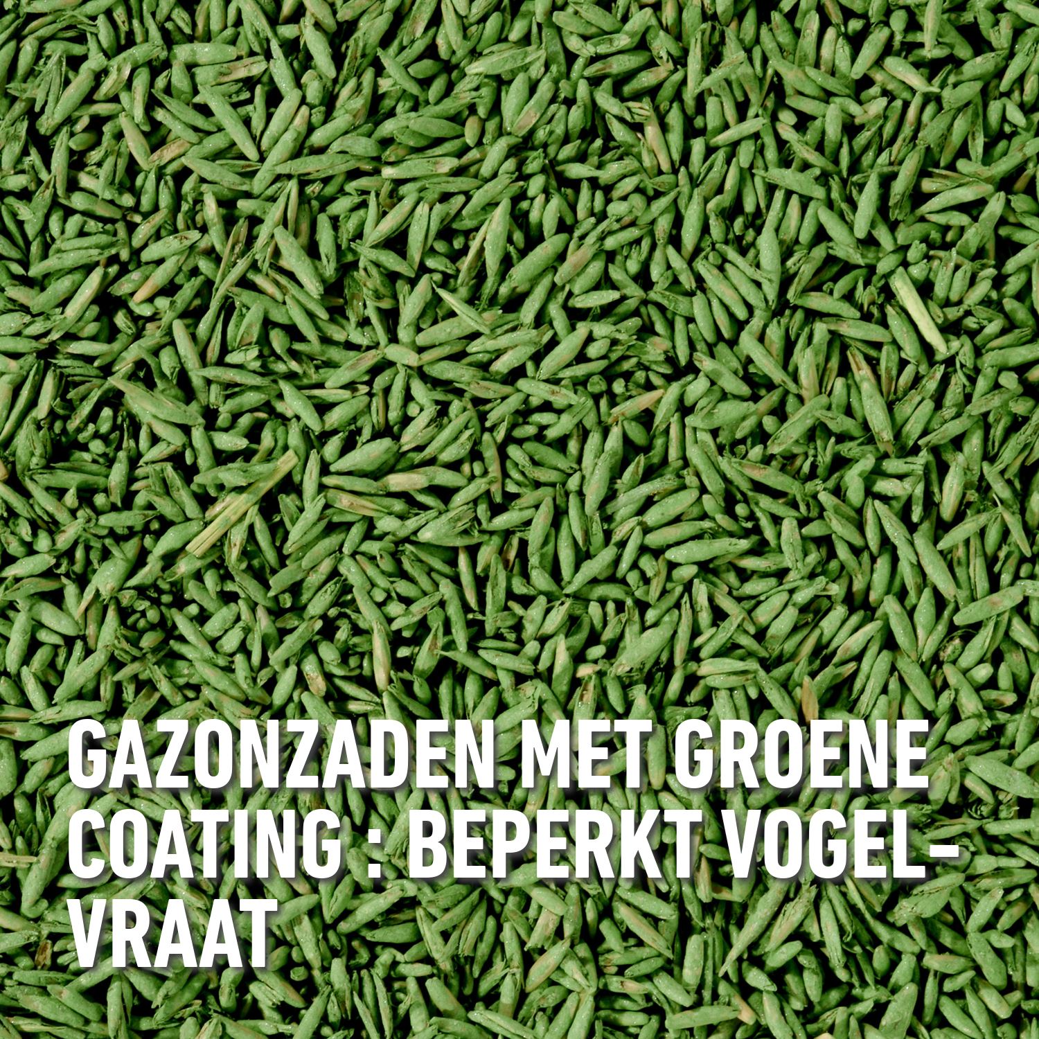 Compo-gazonzaad-gazonherstel-2kg