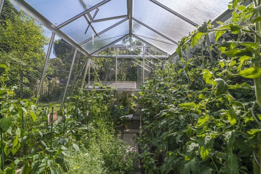 ACD Prestige S104 serre - 3,06 x 2,98m - Aluminium