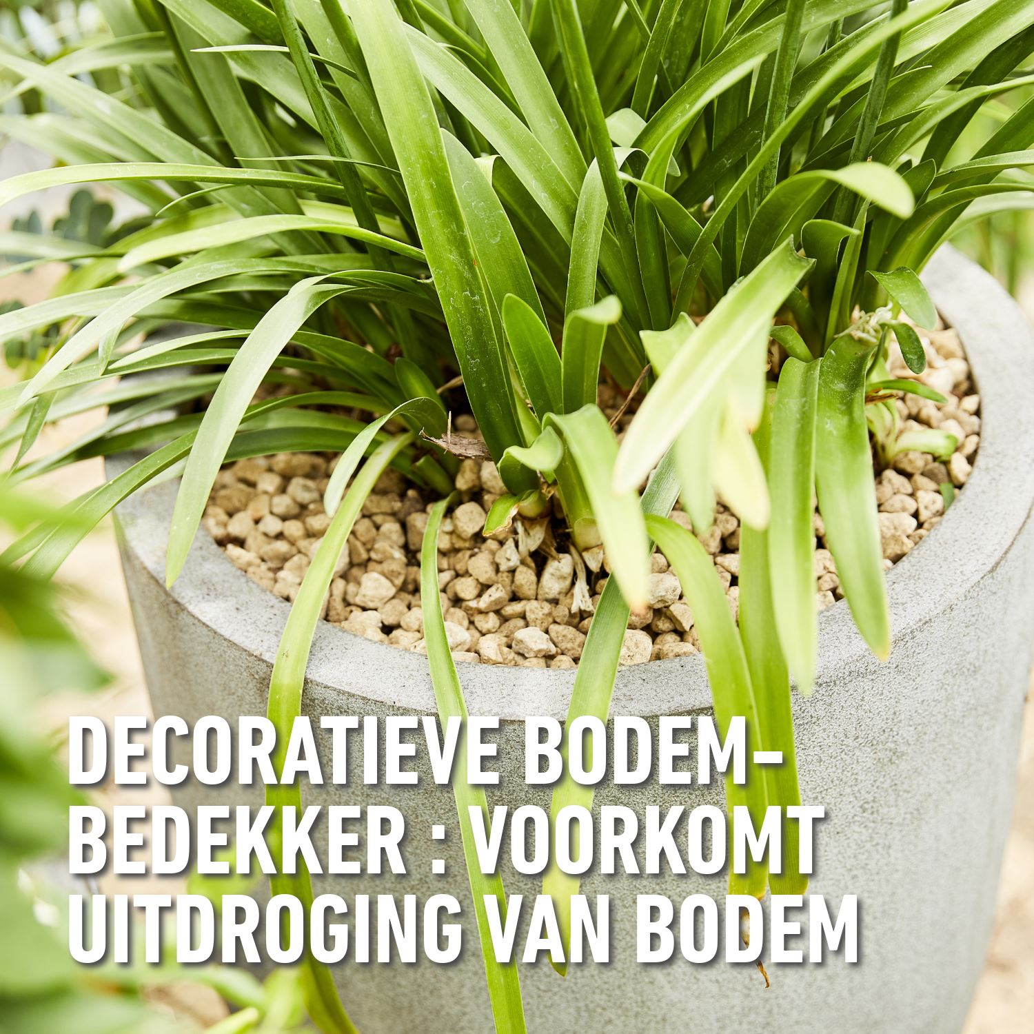 granuplant-puimsteen-korrels-25L-Hydrokorrels