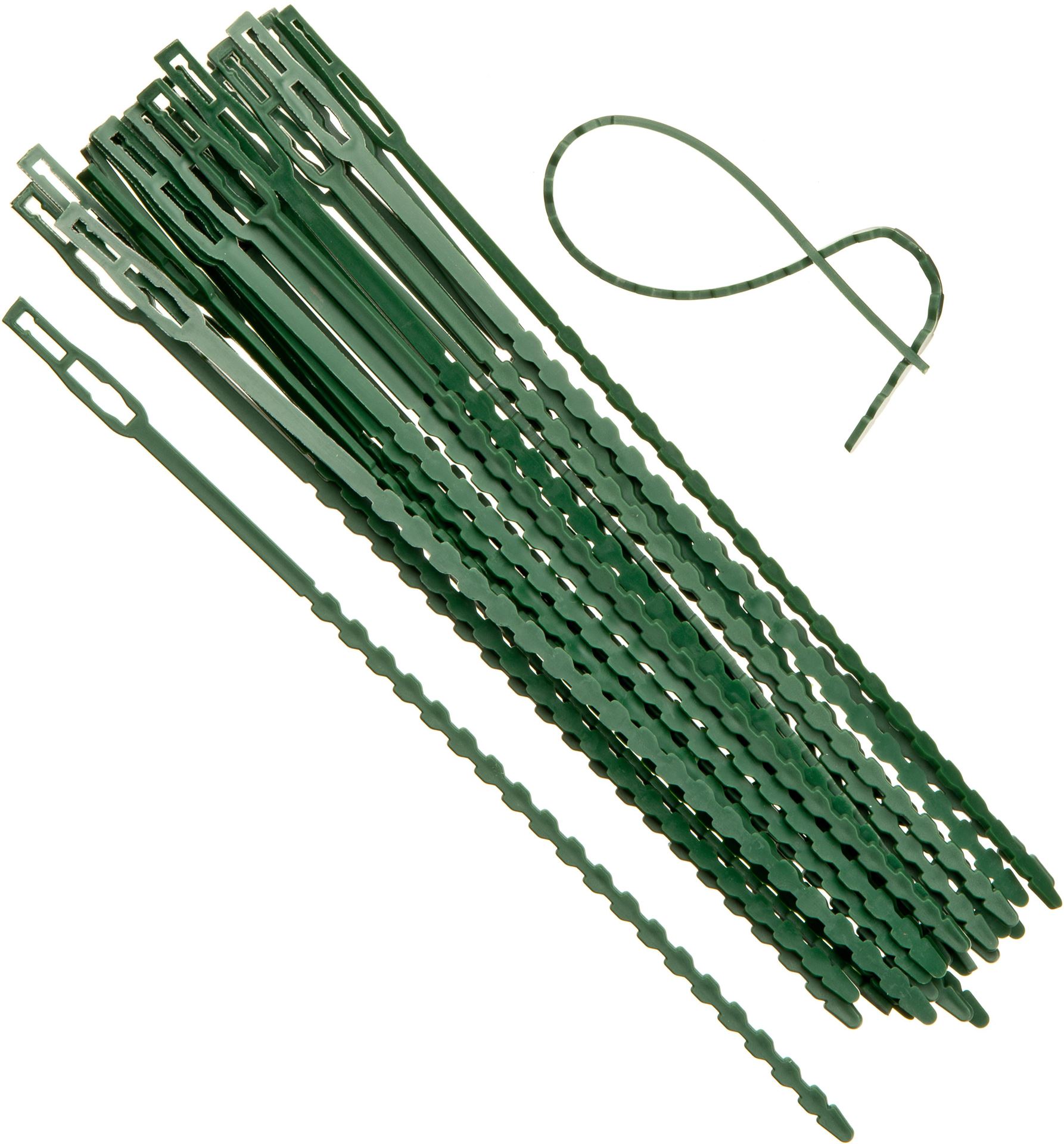 Universele-bindband-met-rattenstaartsluting-groen-23cm-set-a-30-stuks