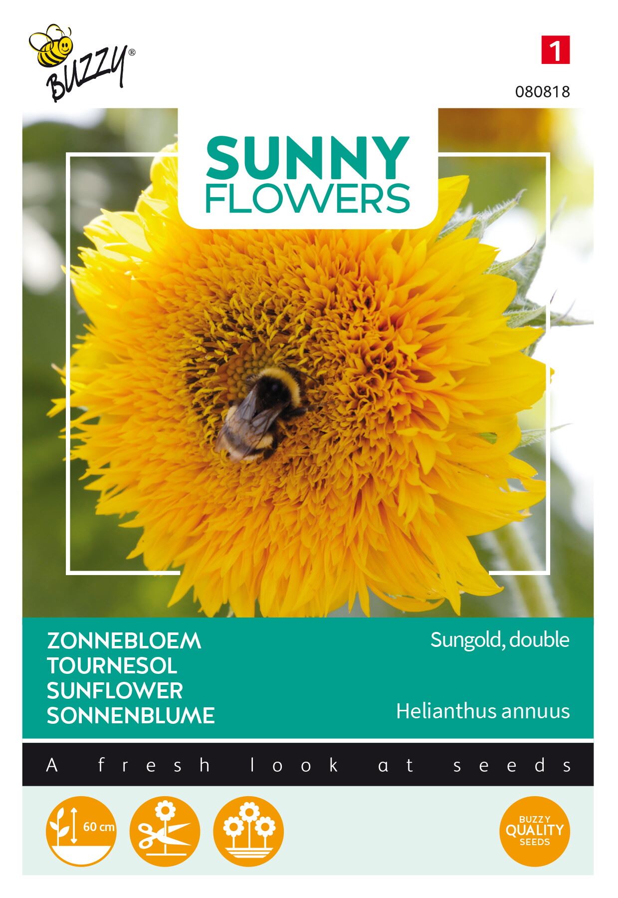 Buzzy-Sunny-Flowers-lage-Zonnebloem-Sungold-dubbelbloemig