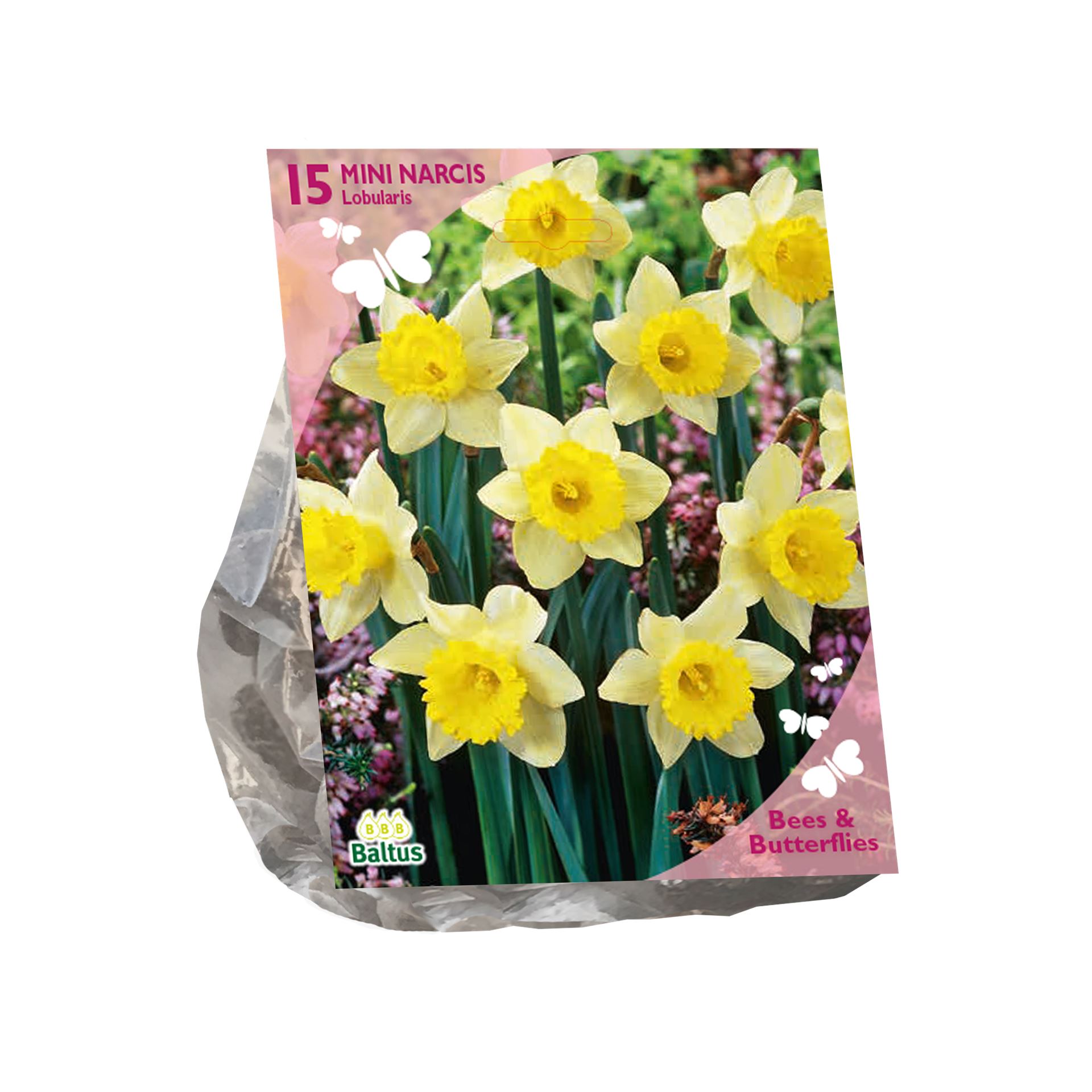 Bees-Butterflies-Narcissus-lobularis-per-15