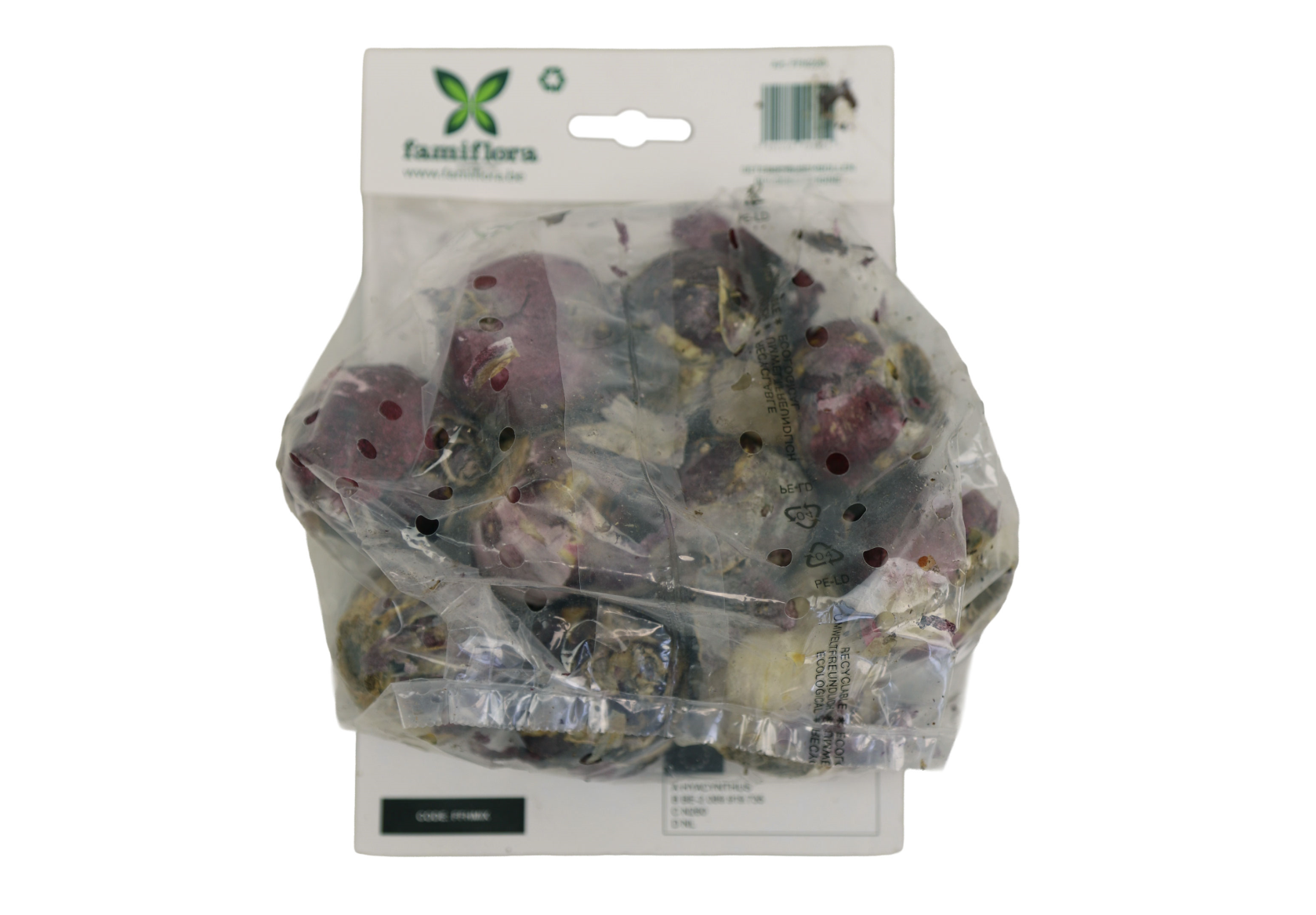 Famiflora Hyacinth Mix - 10 bulbs - Spring flowering bulbs