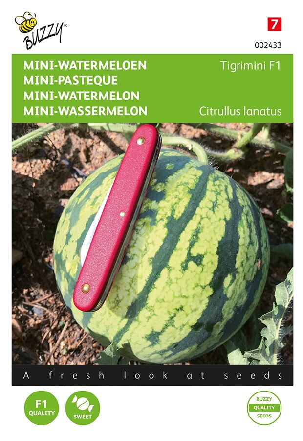 Petite pastèque 'Tigrimini' - Graines de pastèque