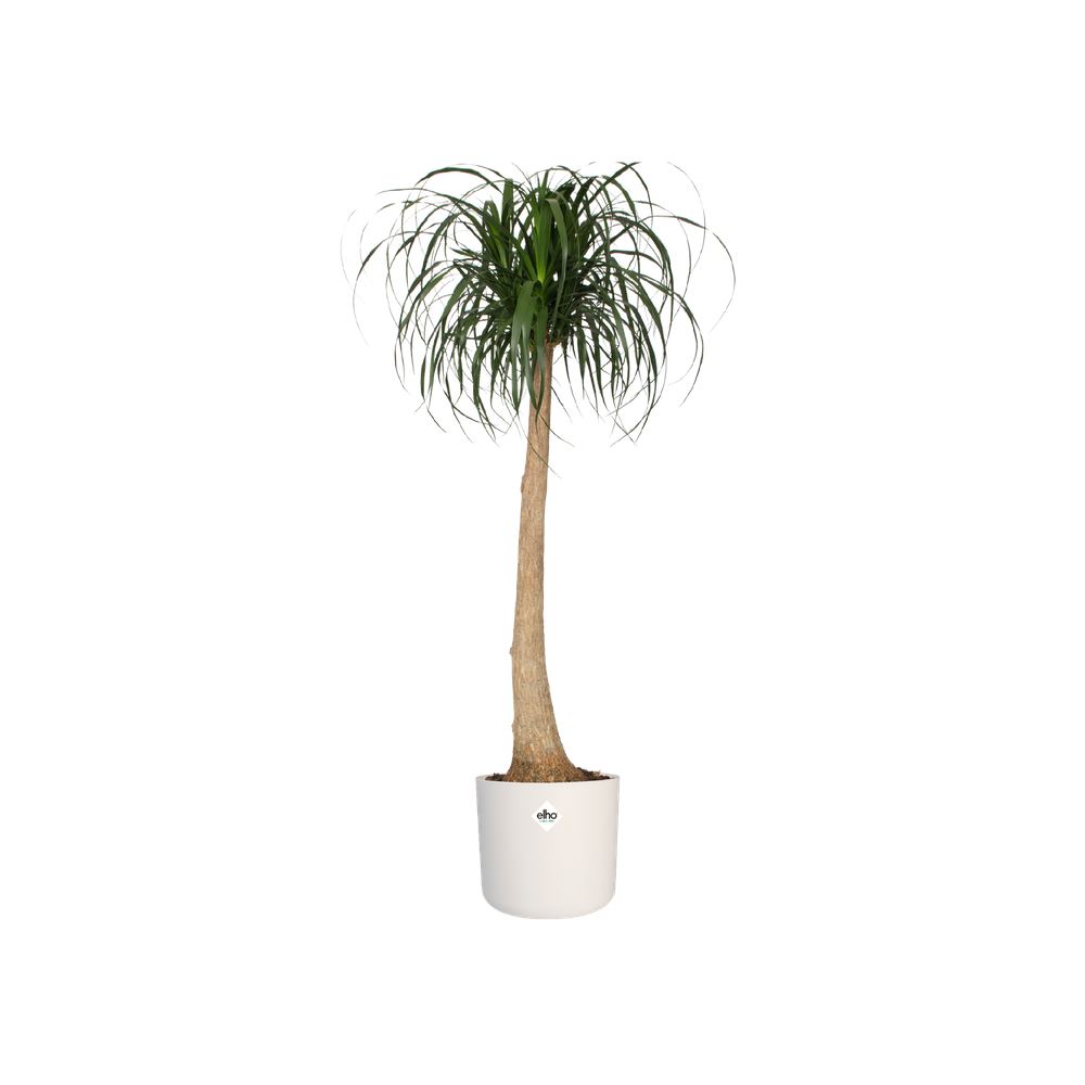 Bloempot-b-for-soft-rond-22cm-wit