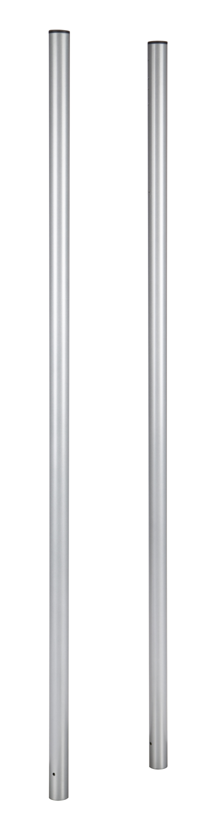 Practo Garden brievenbuspaal zilver zilver - In gelakt staal - 4x4x151cm