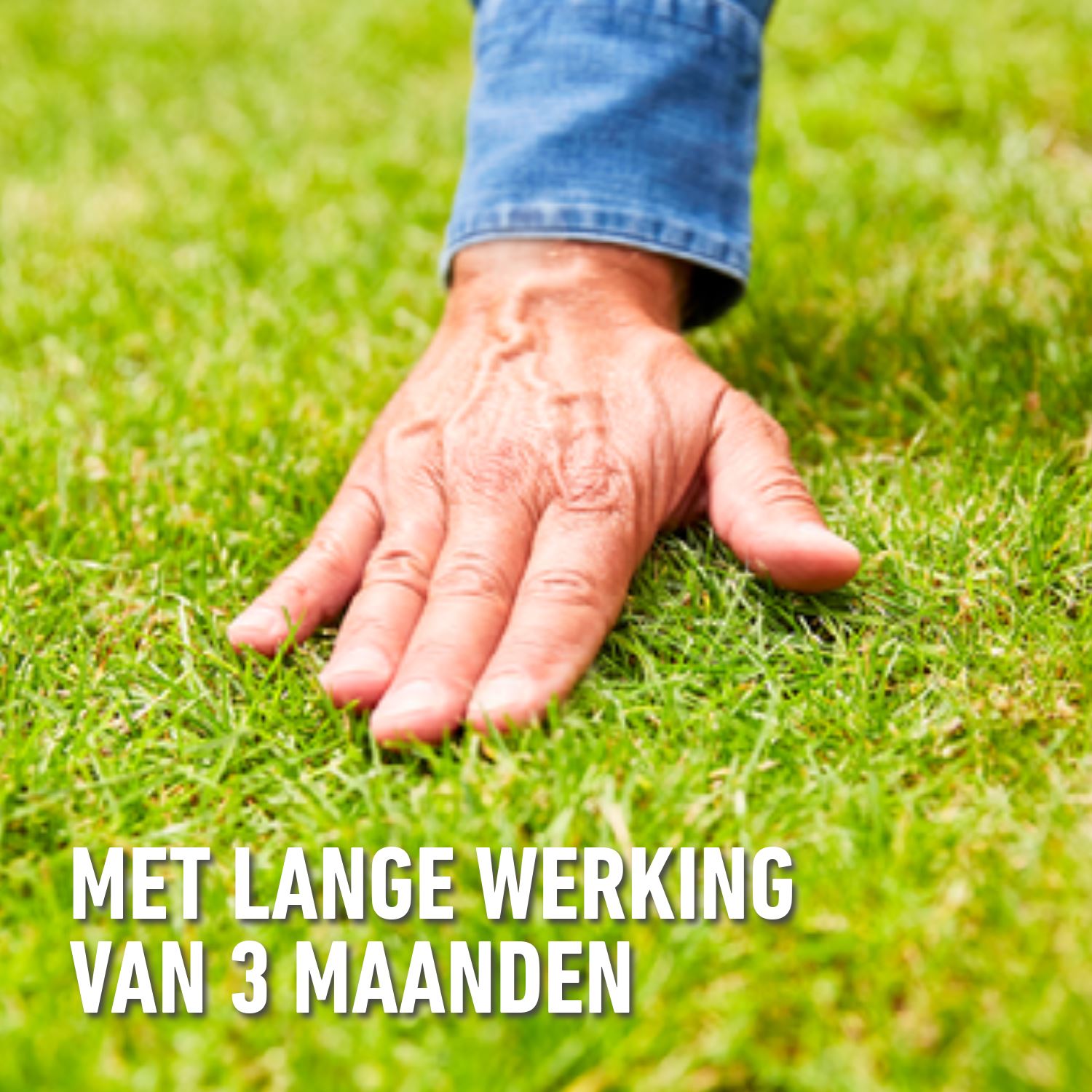 compo-gazonmeststof-met-lange-werking-50m-gratis-12-KG