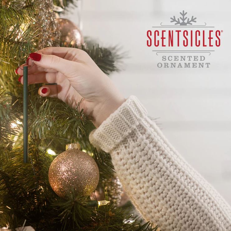 Scentsicles-6pc-Stick-White-Winter-Fir