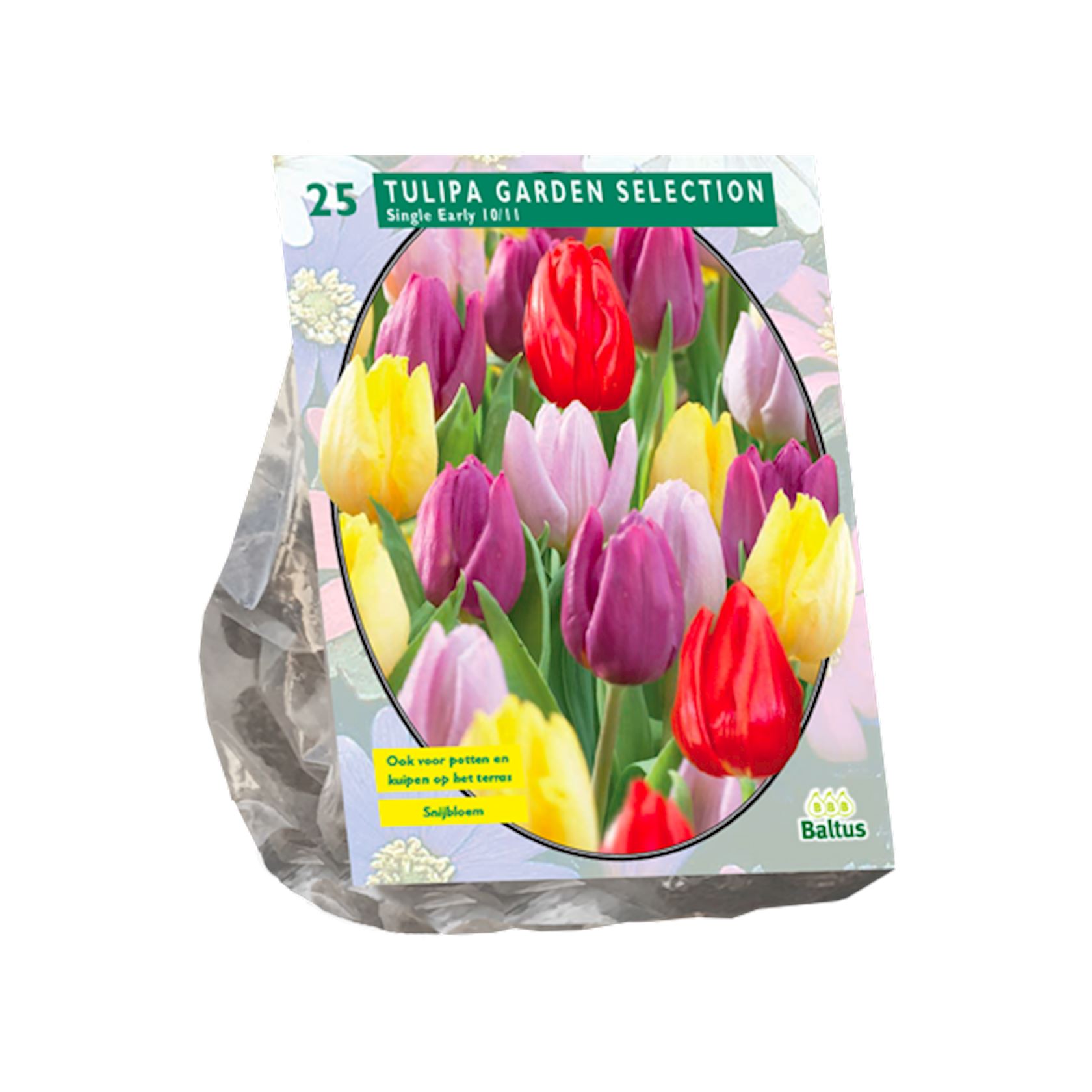 tulipa-garden-selection-per-25