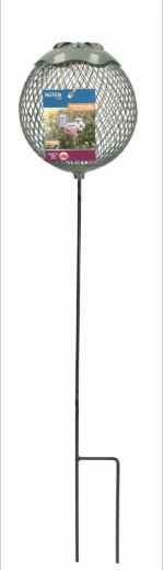 Buten-Feeder-stake-pinda-Forest