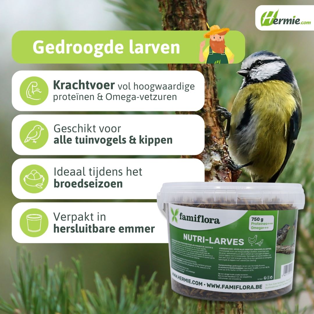 nutri-larven-emmer-0-75-kg