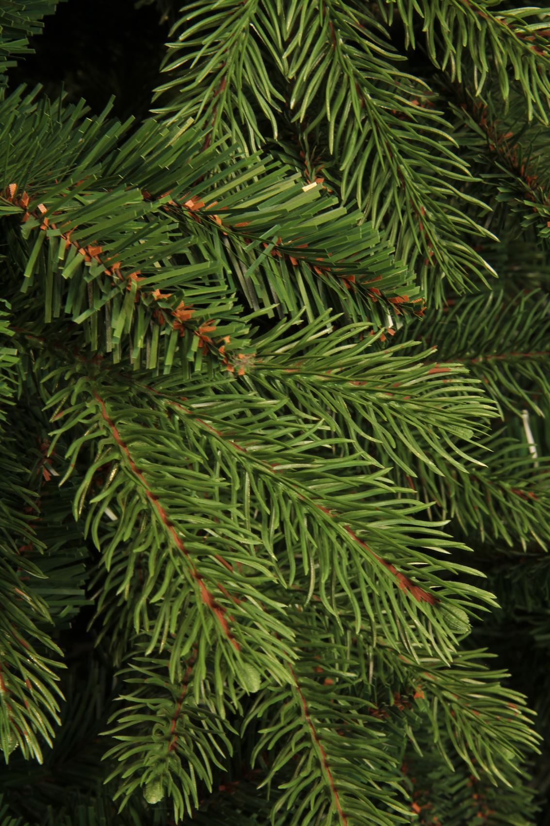 Kerstboom-Brampton-D142xH215cm-groen