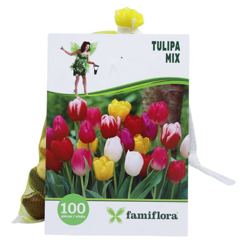 Tulipa-Mix-per-100