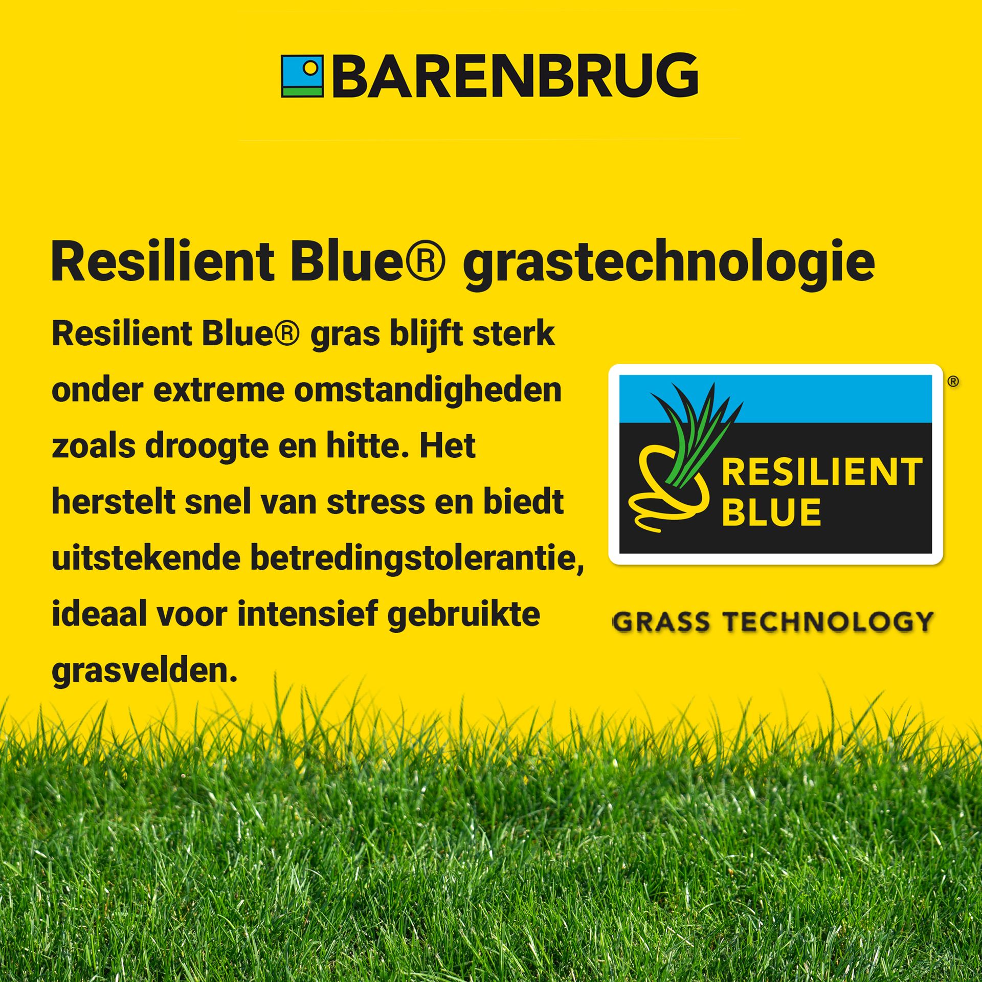 Resilient-Blue-Lawn-Tough-easy-5kg