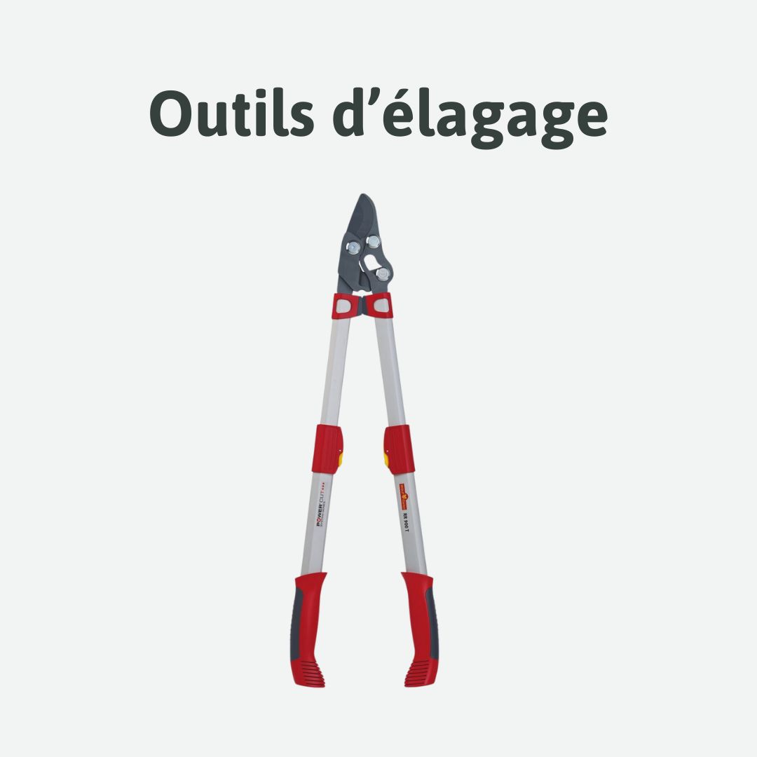 outils d'élagage