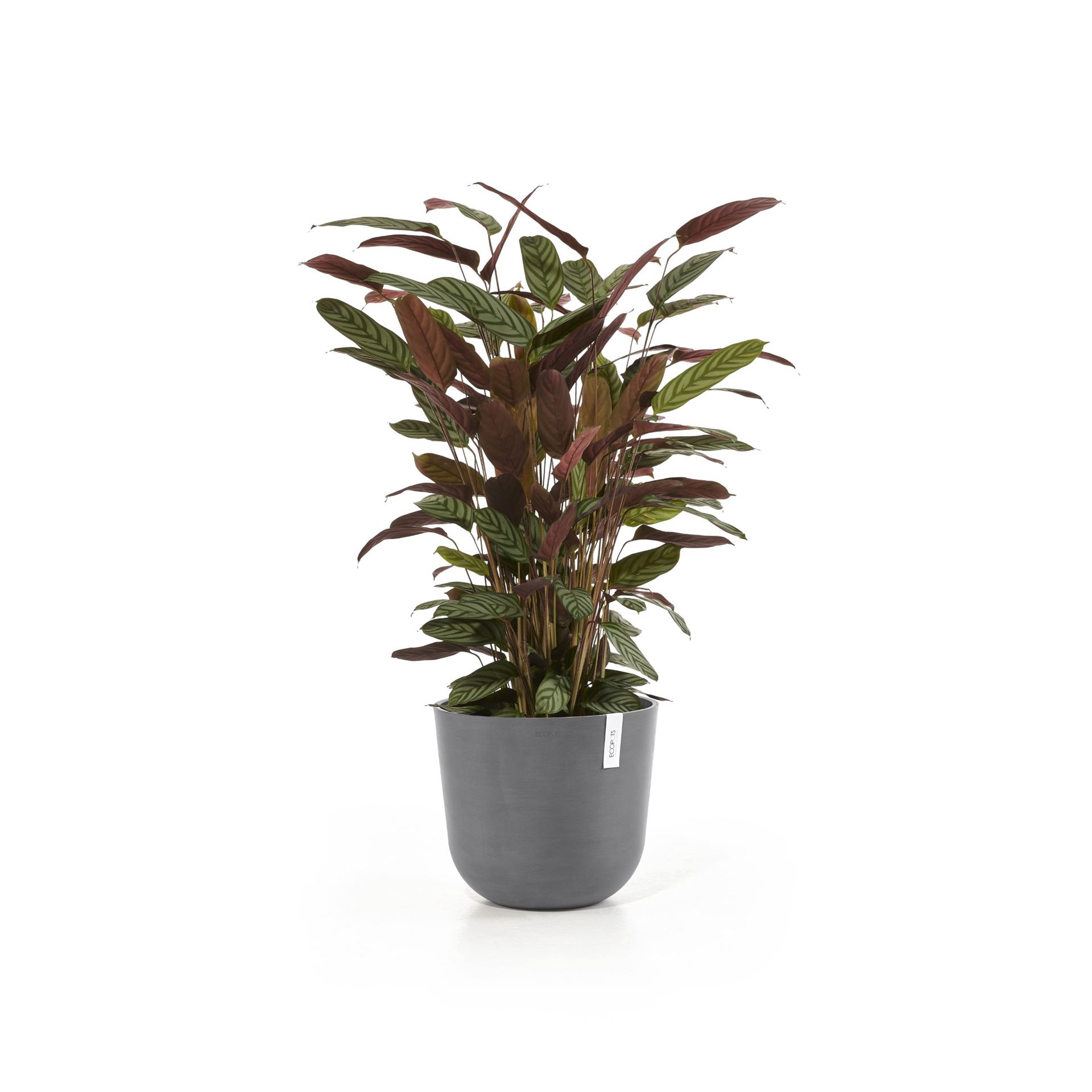 Ecopots-oslo-grey-35-cm-H30-5-cm