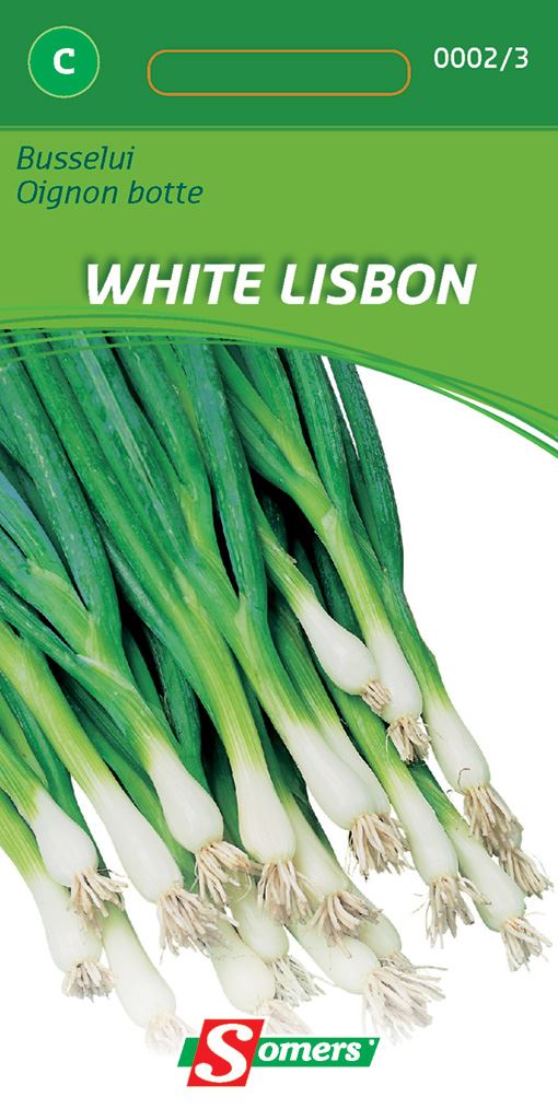 witte-busselajuin-white-lisbon