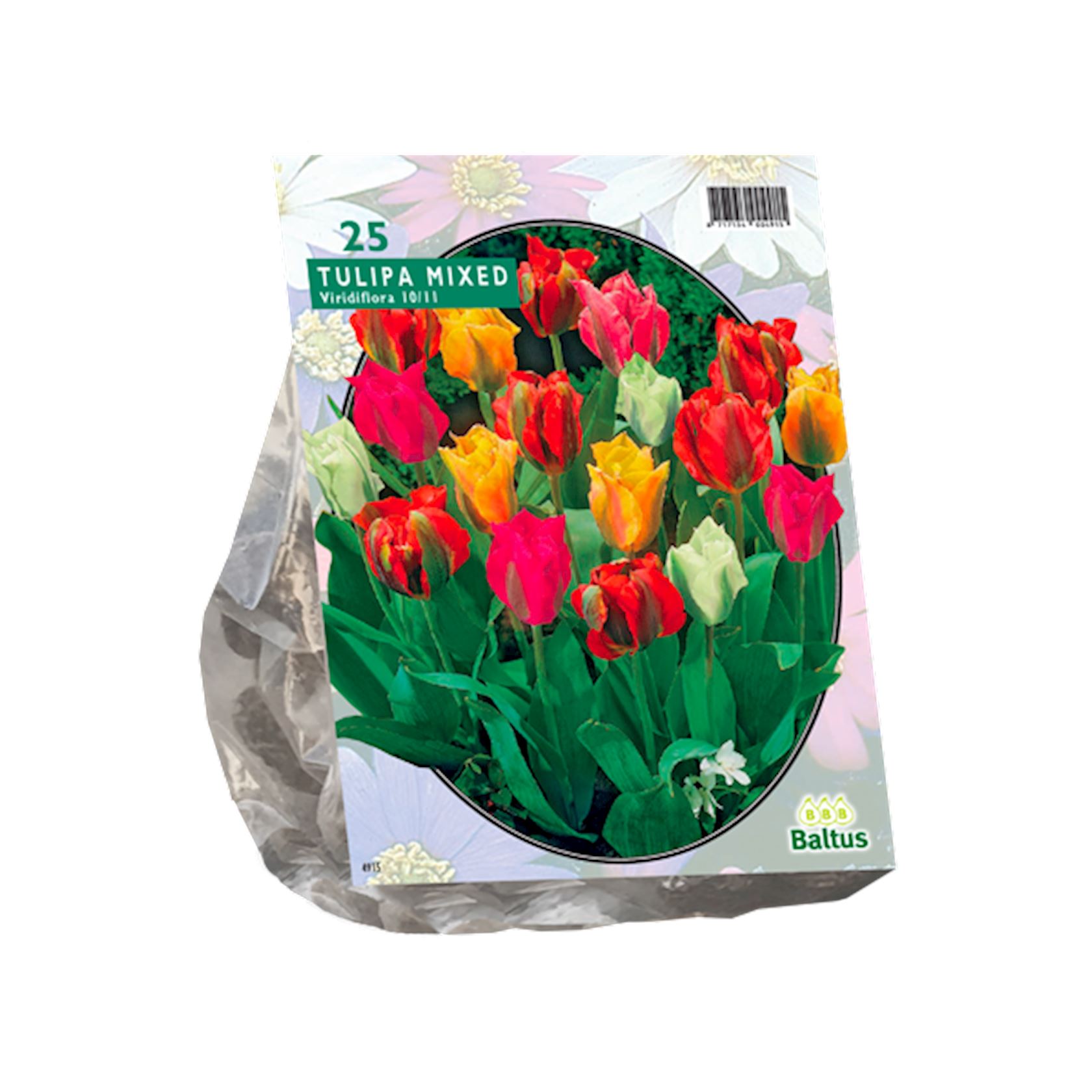 tulipa-viridiflora-mix-per-25