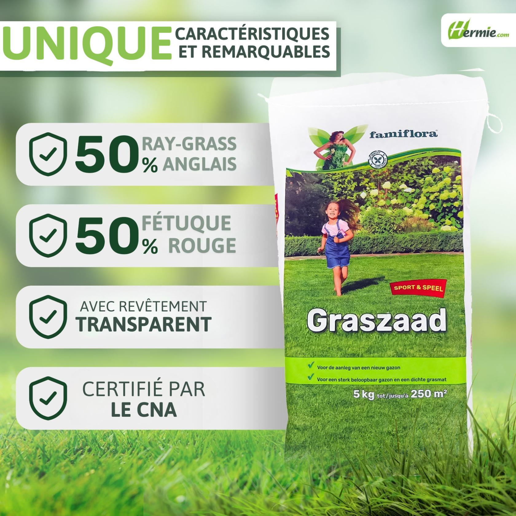 Famiflora semence de gazon 5kg jusqu'à 250m² - Jeux & Sports - pour l'établissement d'un nouveau gazon
