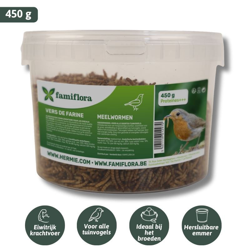 Famiflora dried mealworms 450 g = ± 2.7L in resealable bucket - for garden birds
