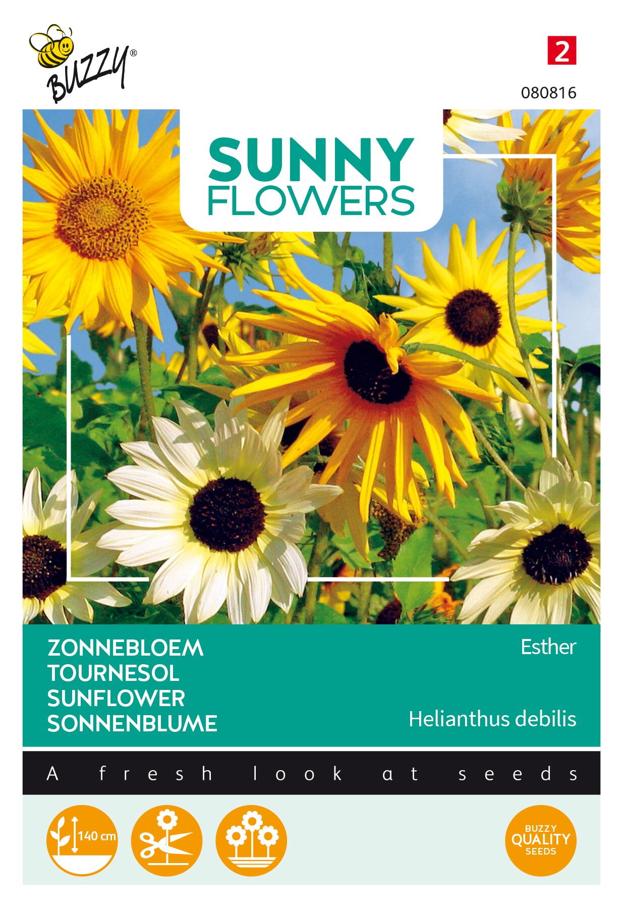 Buzzy-Sunny-Flowers-Zonnebloem-Esther