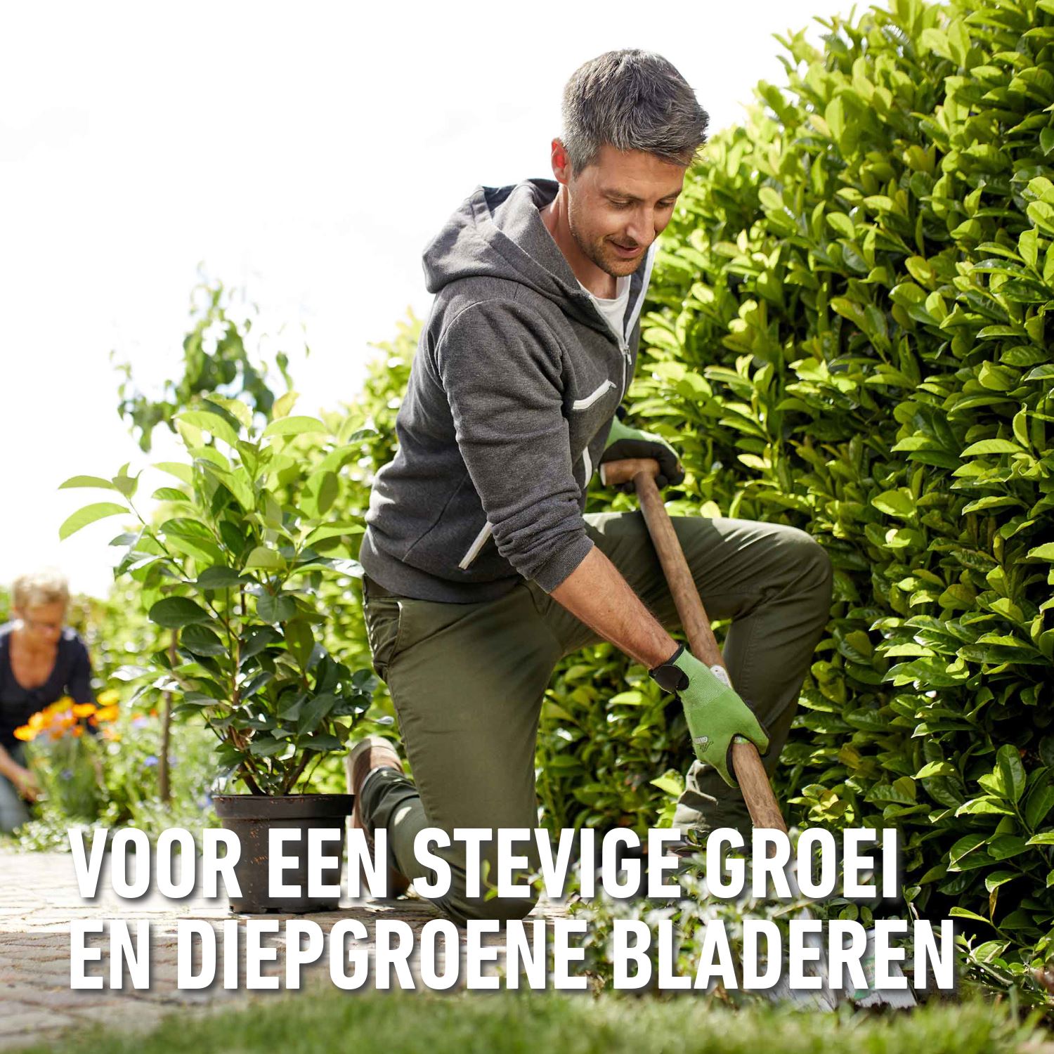 Compo-bio-meststof-hagen-buxus-3-5kg