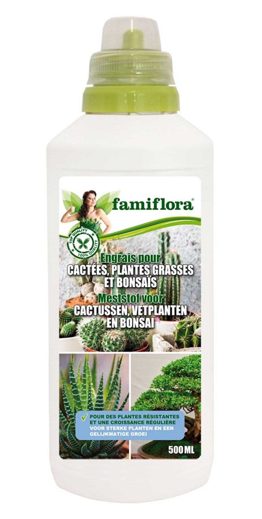 Famiflora-Vlb-Cactusmest