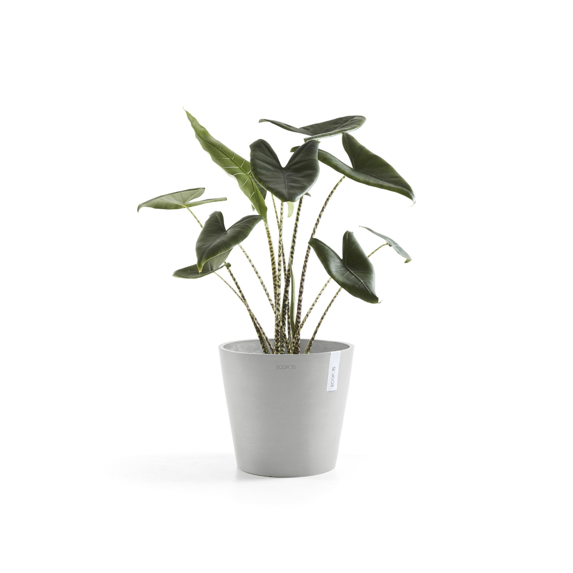 Ecopots-amsterdam-white-grey-40-cm-H35-cm