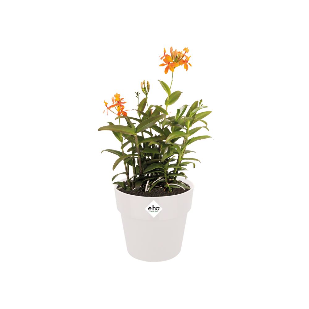 Bloempot-b-for-original-rond-22cm-wit