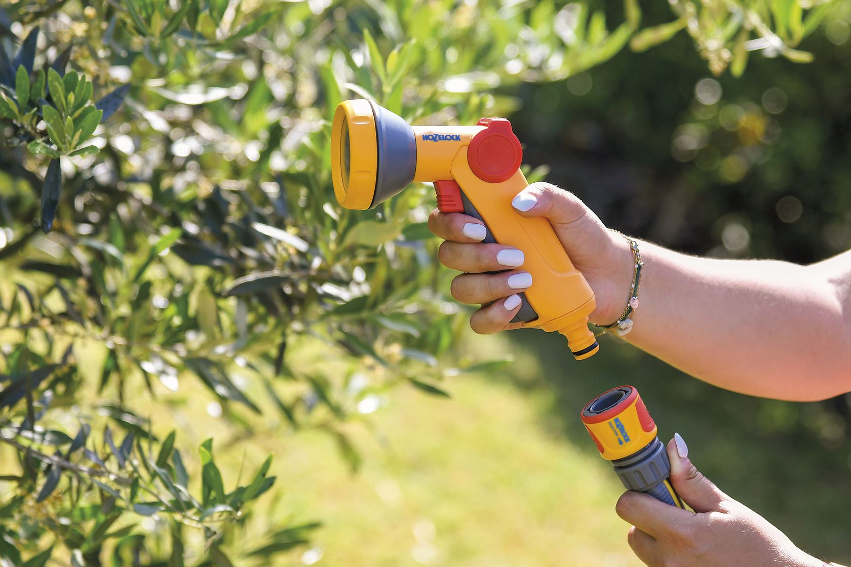 Rose-Spray-Gun-