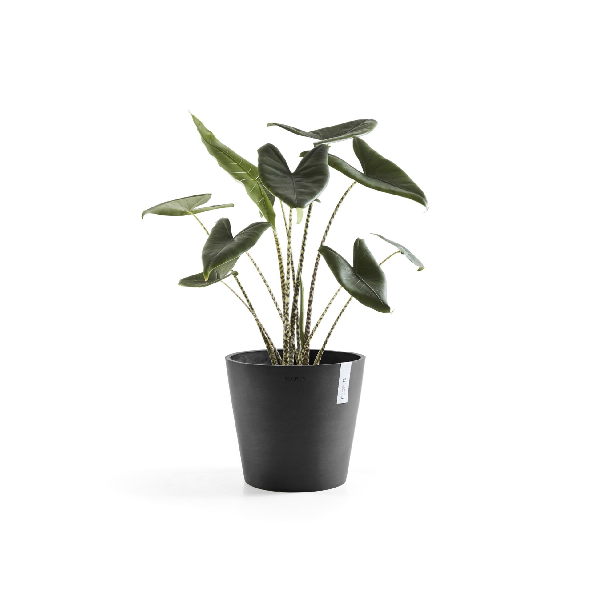 Ecopots-amsterdam-dark-grey-30-cm-H26-3-cm