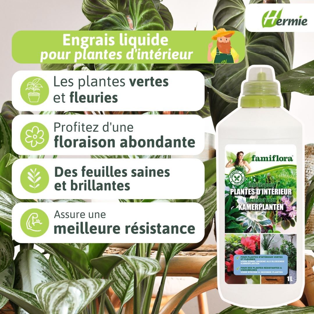 Famiflora-vloeibare-meststof-voor-Kamerplanten-1L