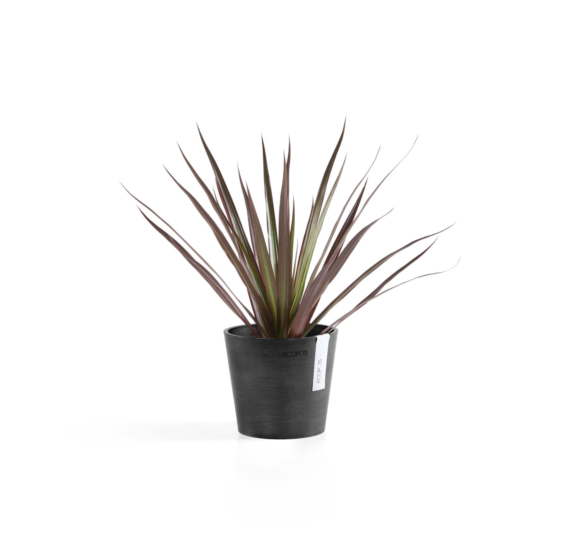 Ecopots-amsterdam-mini-dark-grey-13-cm-H11-4-cm