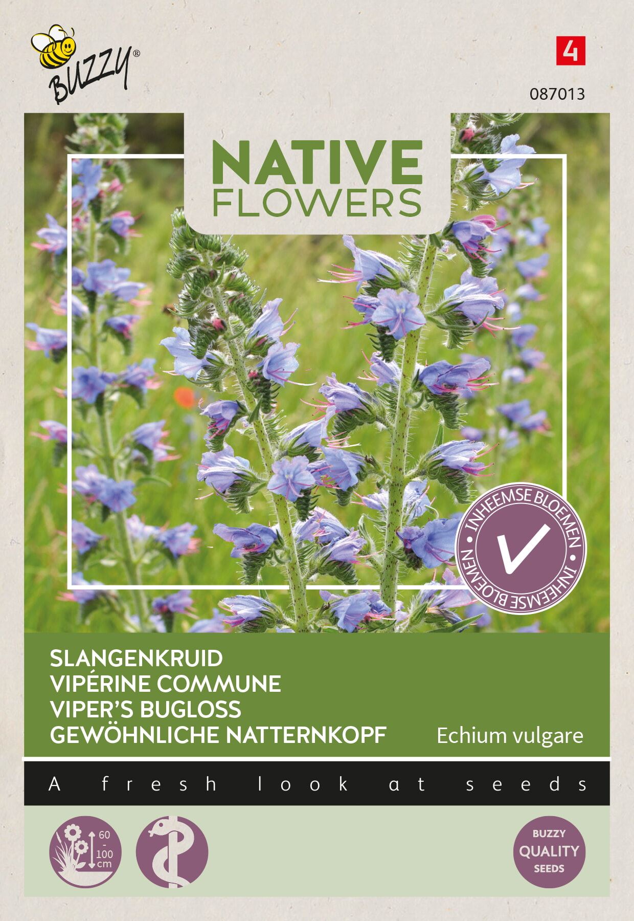 Buzzy-Native-Flowers-Inheems-Echium-vulgare-Slangenkruid