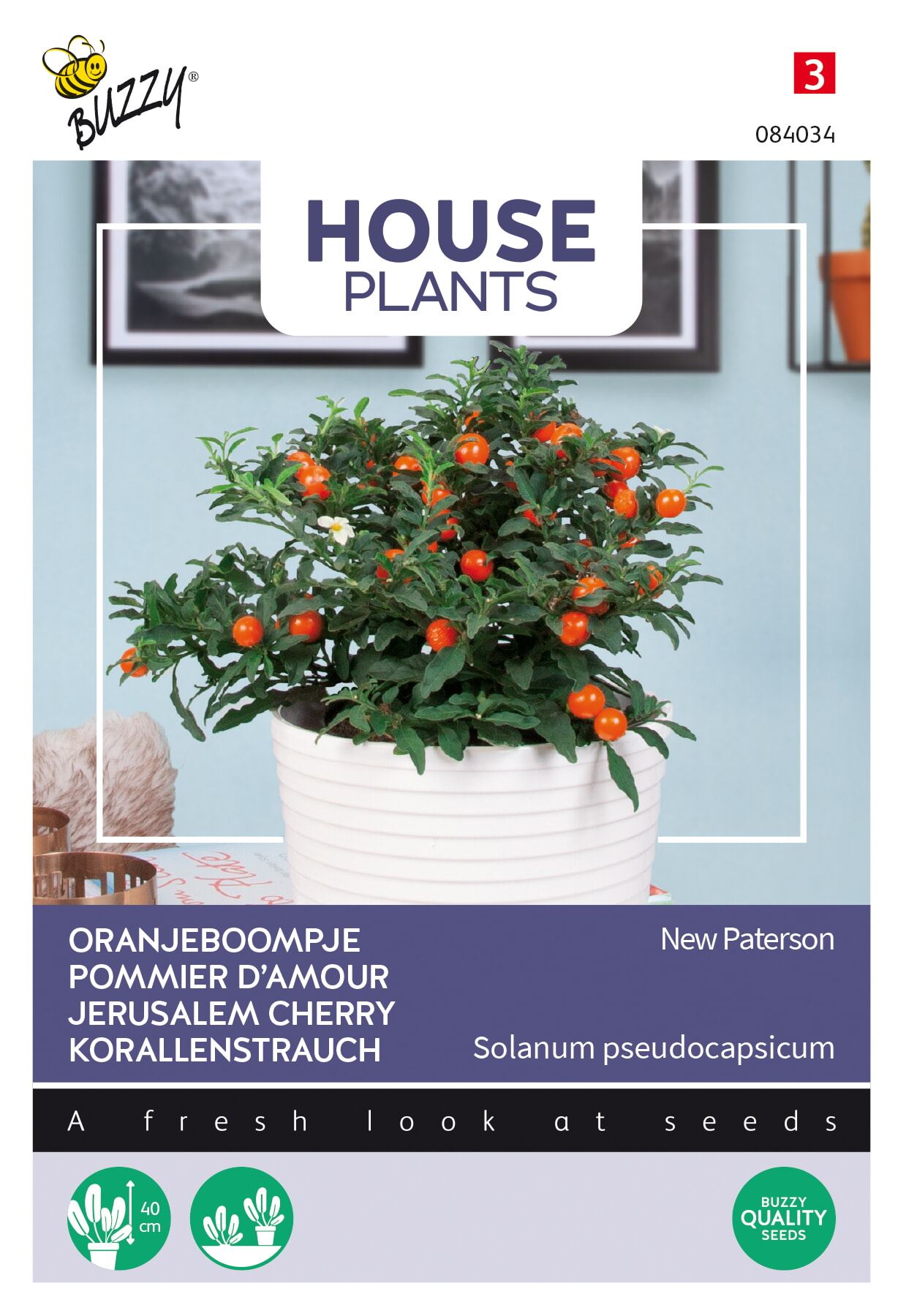 Buzzy-House-Plants-Solanum-Oranjeboompje-Jubilee