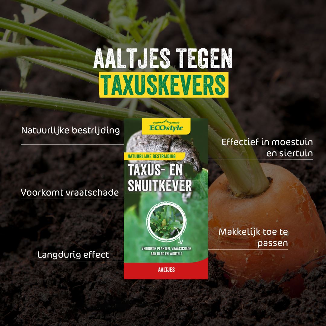 Aaltjes-tegen-taxuskevers-val-