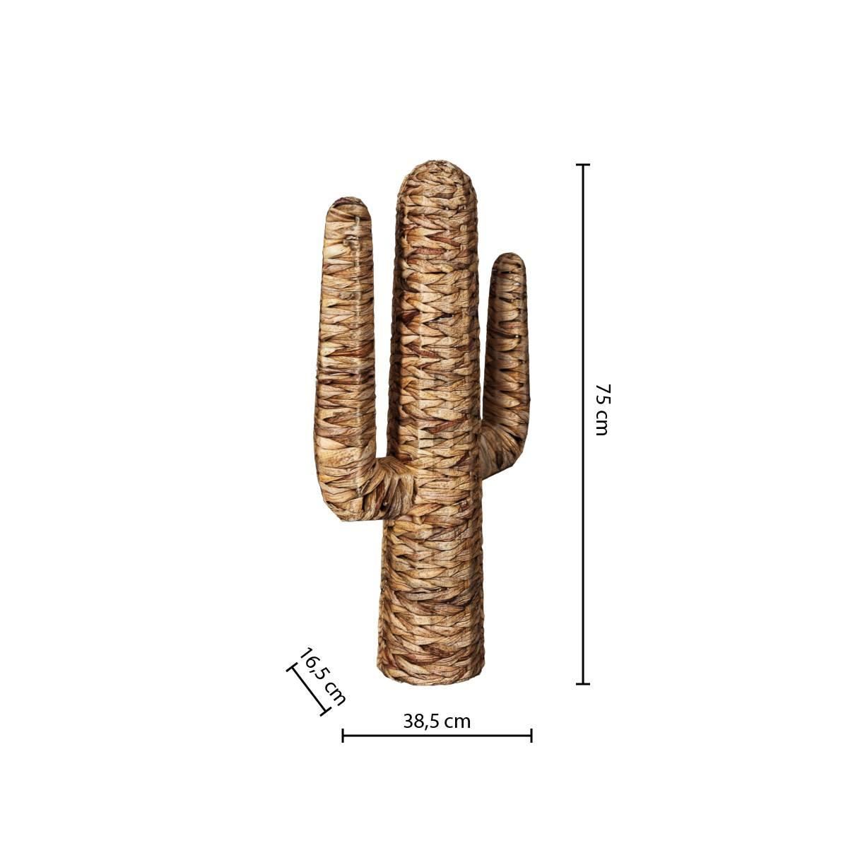 Decoratieve-cactus-Hacienda-75-cm-waterhyacint-