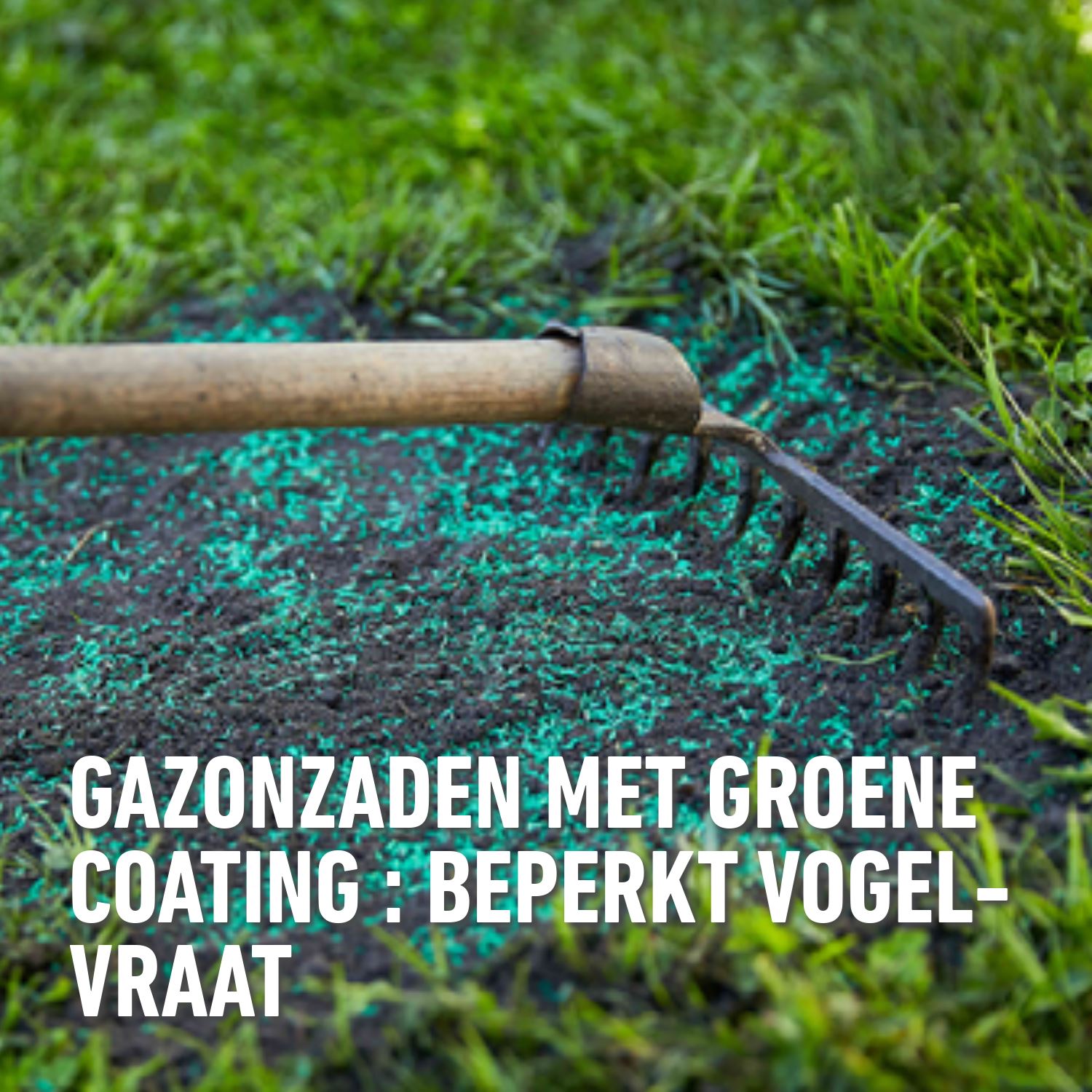 Compo-gazonzaad-sport-spel-1kg