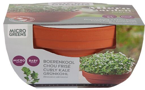 Buzzy-Microgreens-Terra-Schaaltje-Boerenkool