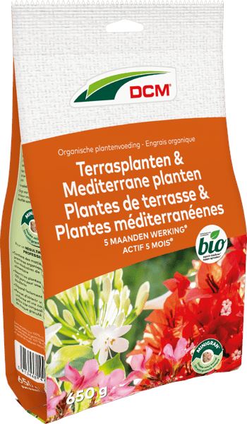 dcm-terrasplanten-mediterrane-planten-0-65kg