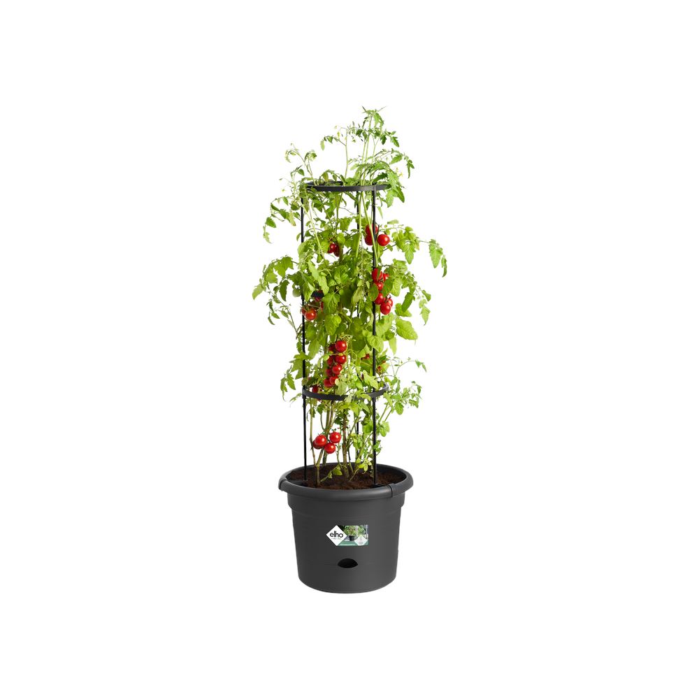 green-basics-tomaten-pot-33cm-living-black