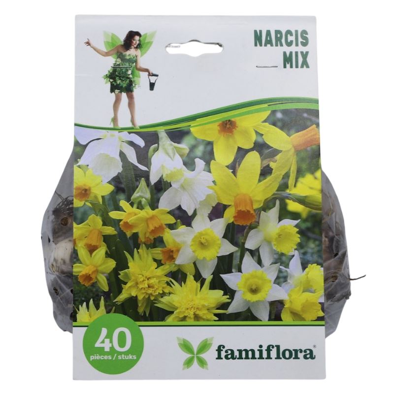 Narcis-Mix-per-40