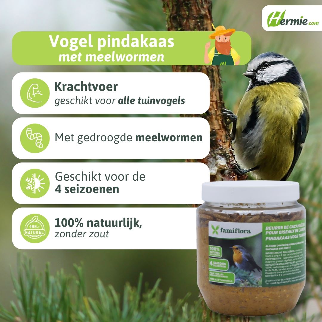 Pindakaas-voor-tuinvogels-met-meelwormen