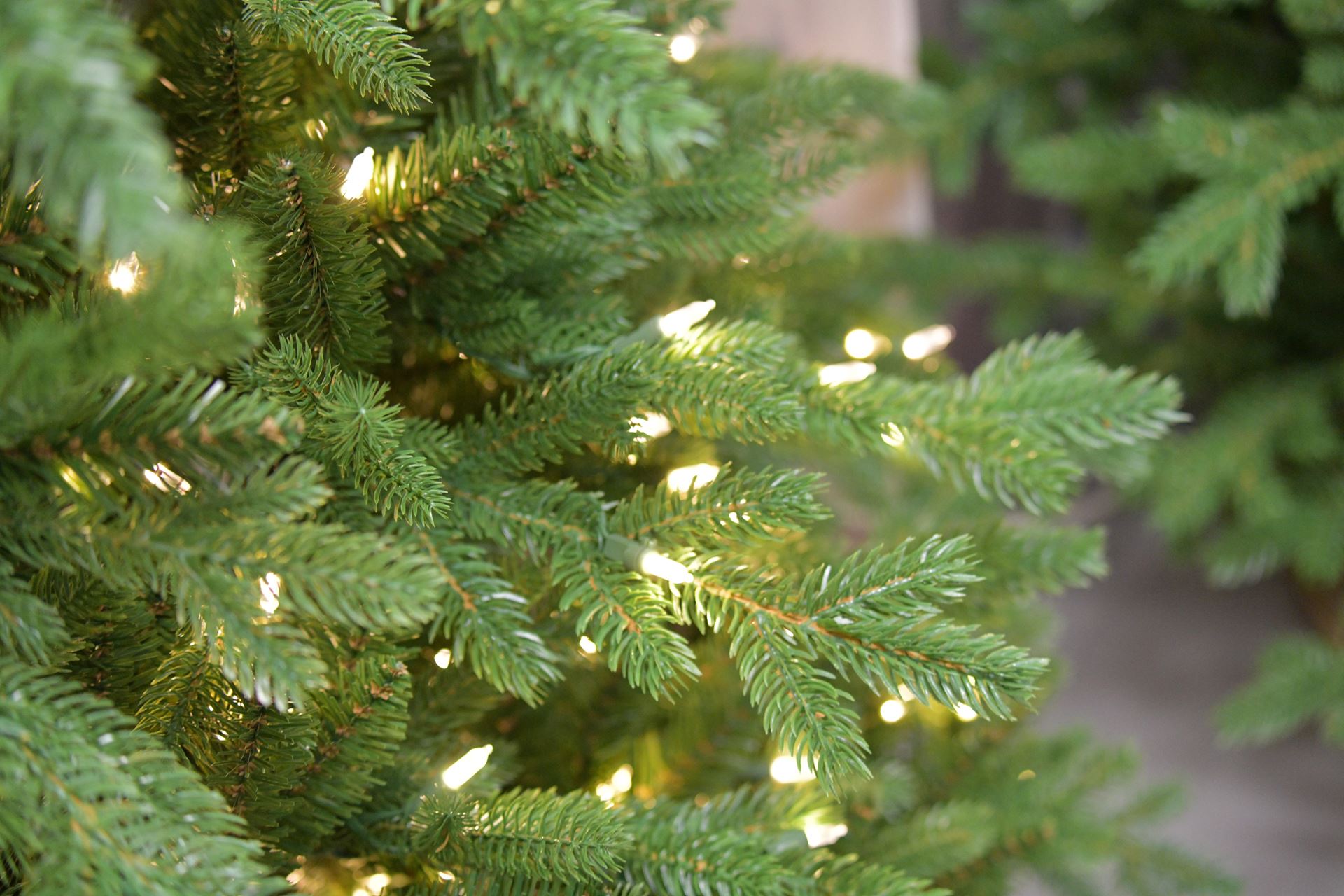 Vienna-Fir-Hinged-243cm-800L