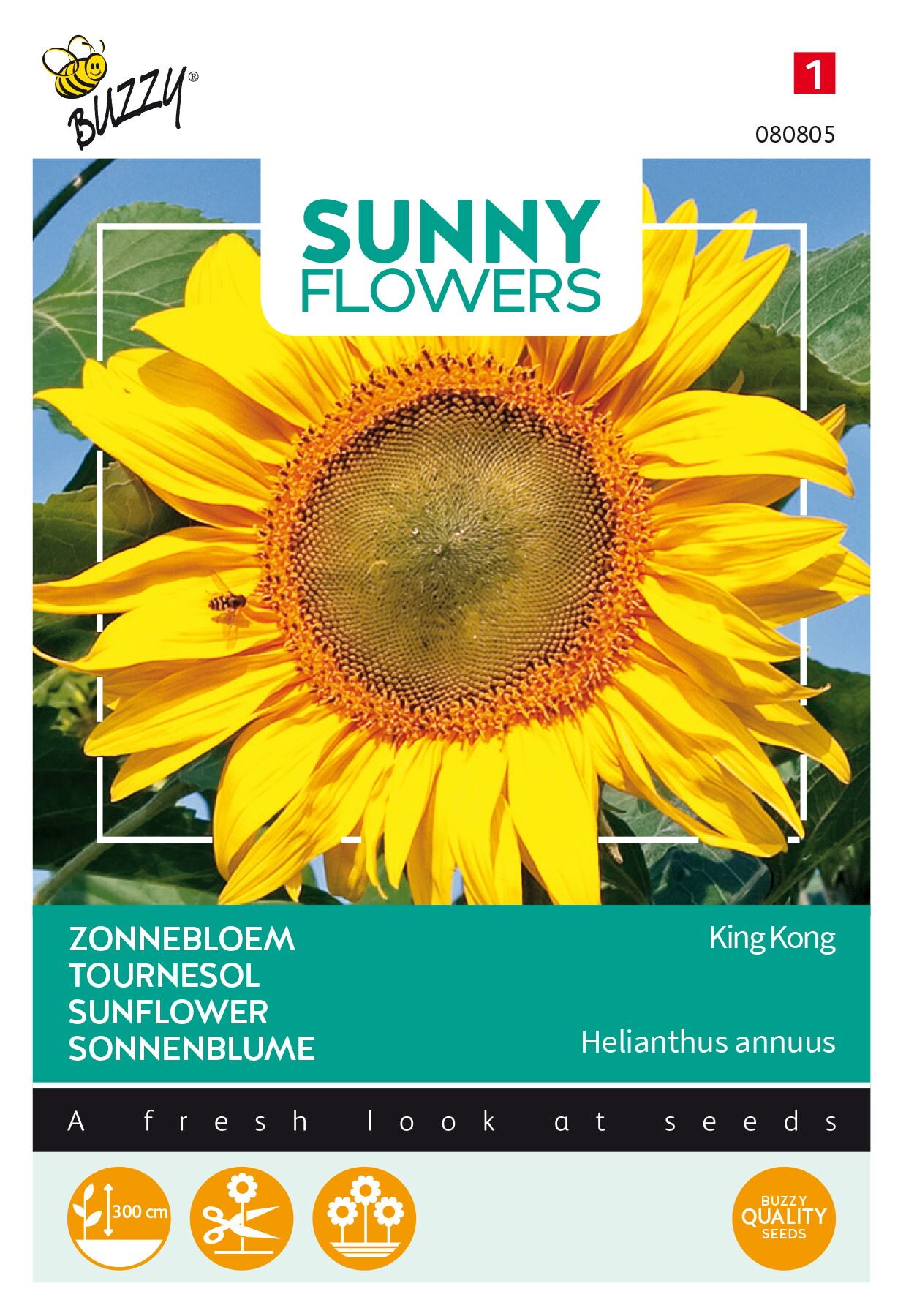 Buzzy-Sunny-Flowers-Zonnebloem-King-Kong