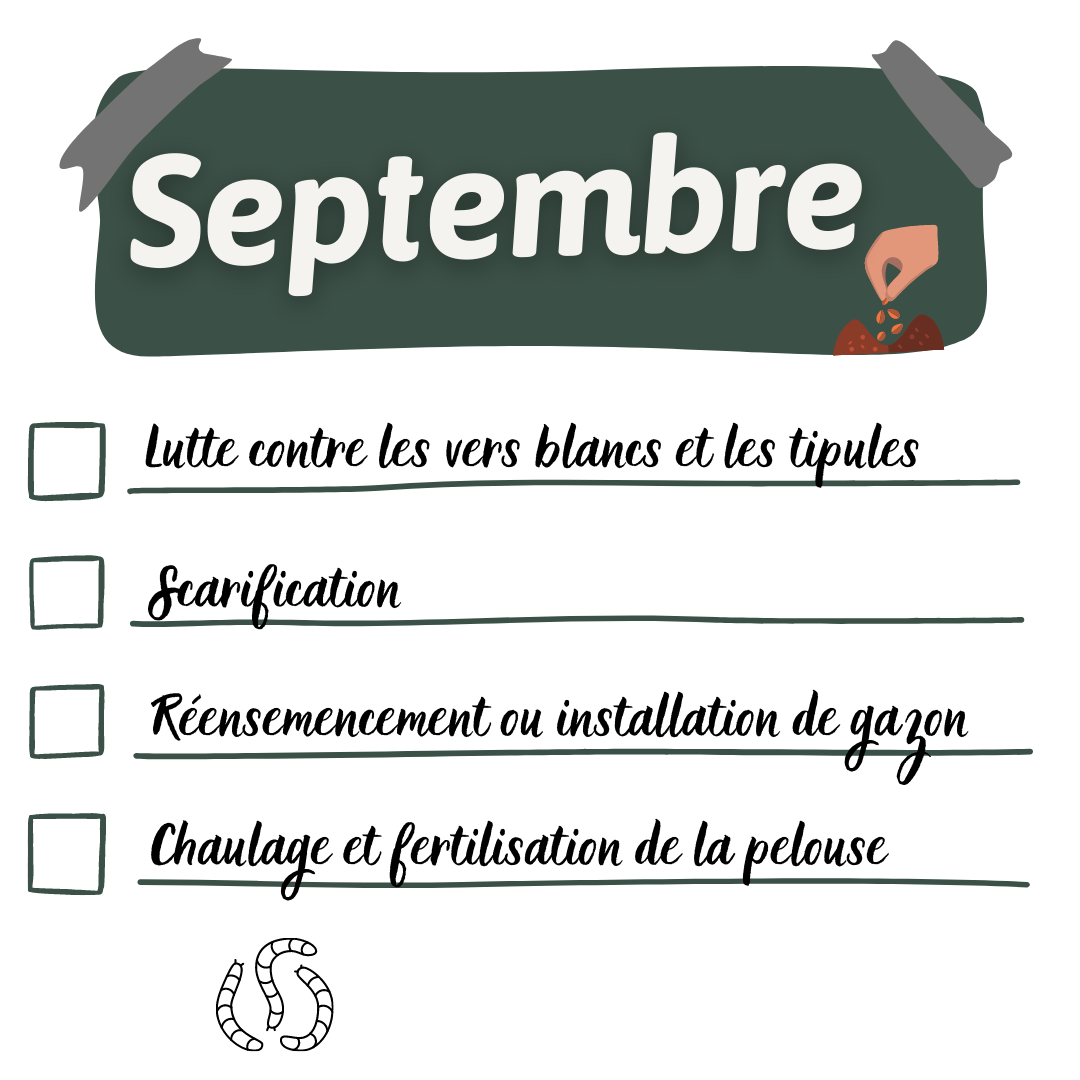 calendrier de pelouse septembre
