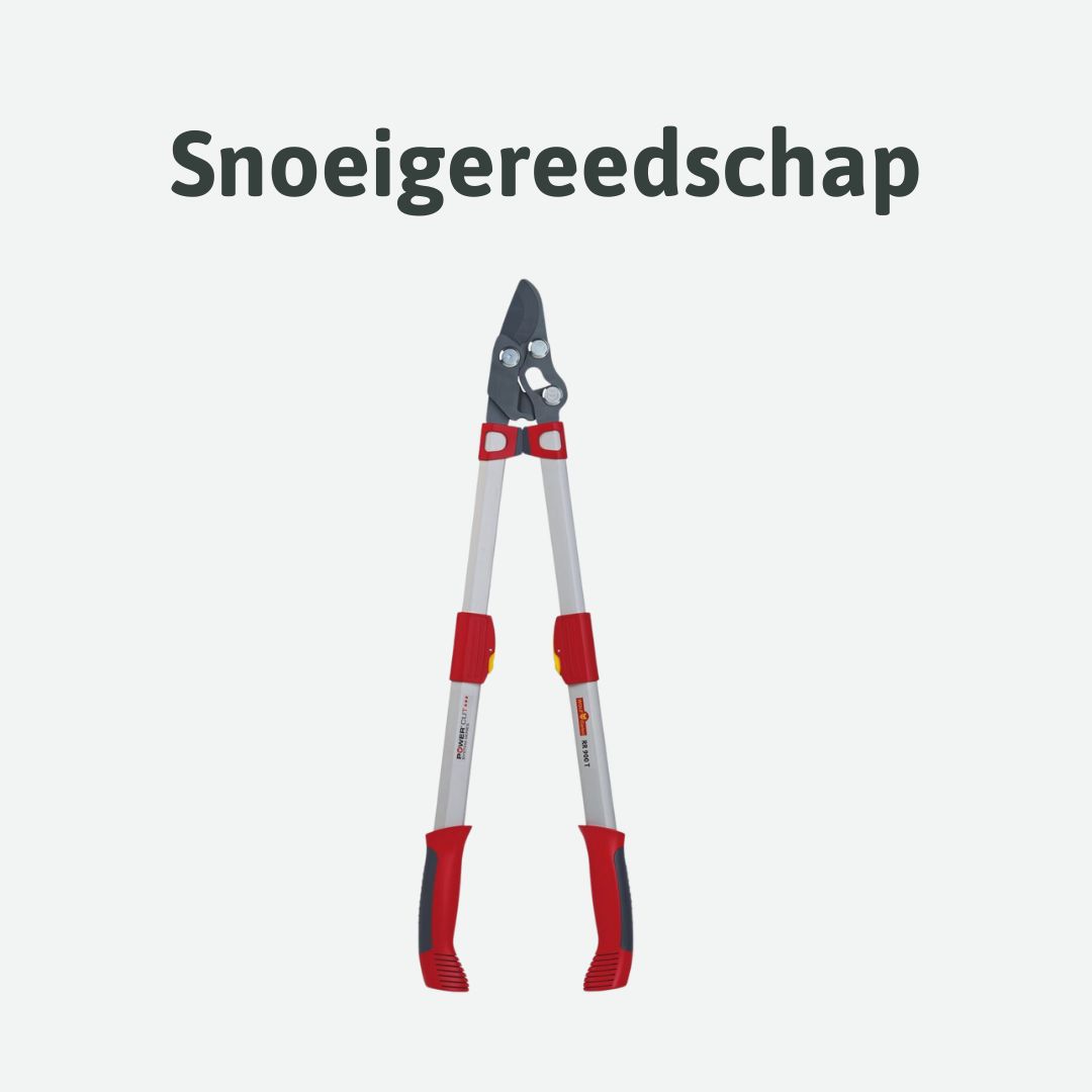 snoeigereedschap