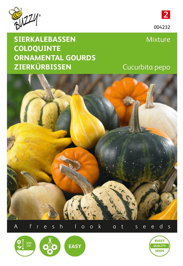 Buzzy-Cucurbita-Sierkalebas-klein-en-groot-gemengd