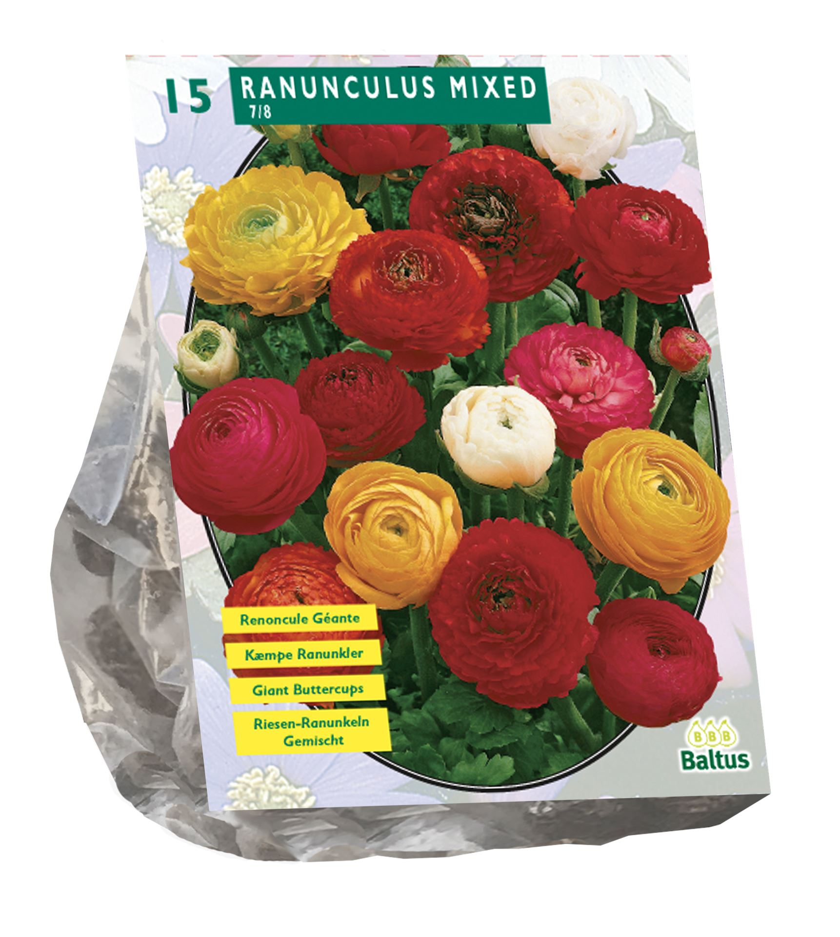 Ranonkel-Mix-per-15